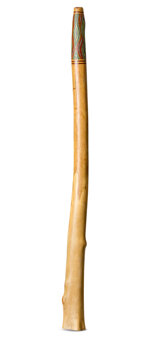 Heartland Didgeridoo (HD451)